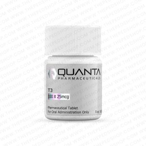 T3 - QUANTA