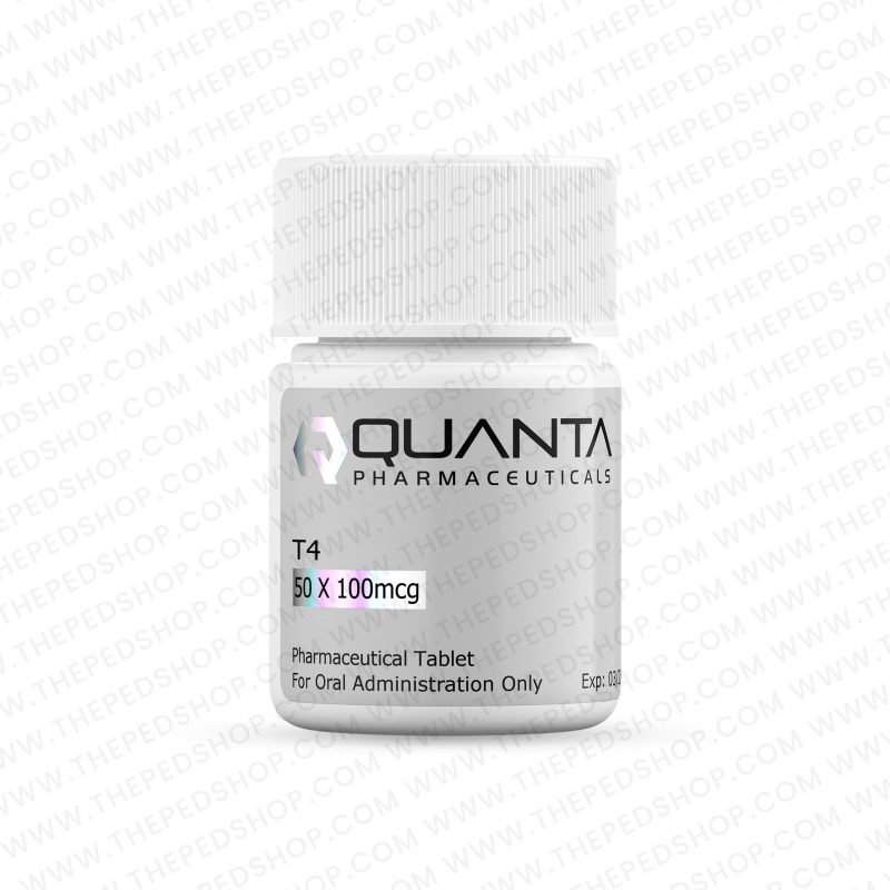 T4 - QUANTA